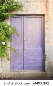 Dated purple door in an old facade, surrounded by a climbing plant with green leaves and white flowers.