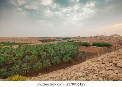 Dates palm farm in a valley - Shutterstock ID 2178956125