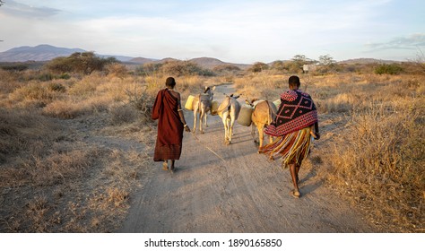 Datoga women going home with water collected from the well, Lake Eyasi, Arusha