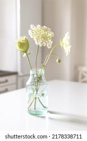 Daucus carota White wildflowers umbellate inflorescence in a glass vase on a white background. - Shutterstock ID 2178338711
