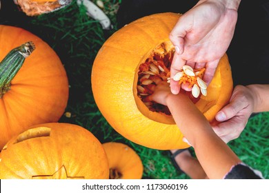 Daughter and father hand who pulls seeds and fibrous material from a pumpkin before carving for Halloween. Prepares a jack o lantern. Decoration  party. Happy family. Little helper