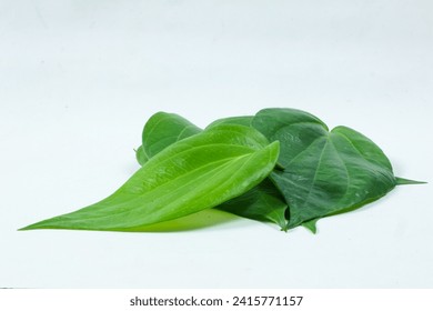Daun sirih or Betel leaf or Betle leaf (piper betle linn). isolated white