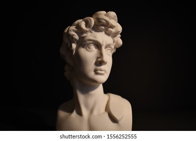 David Of Michelangelo In Various Pose