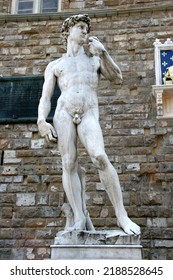 David Statue In Firenze Tuscany, Italy.