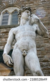 David Statue In Firenze Tuscany, Italy.