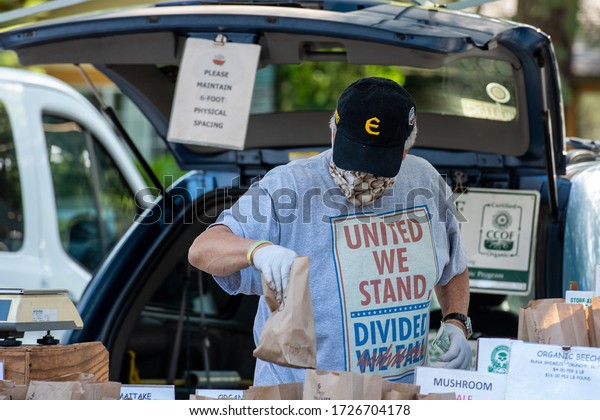 Davis, California,\
USA. May 8, 2020. Caucasian senior male selling mushrooms in the\
farmers market wearing a shirt that says United we stand, divided\
(we fall crossed out).
