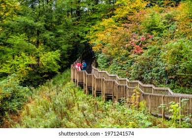 Davis, USA - October 5, 2020: Blackwater Falls State Park With Trail To Famous Waterfall In West Virginia During Autumn Fall Season With People Family Children Tourists