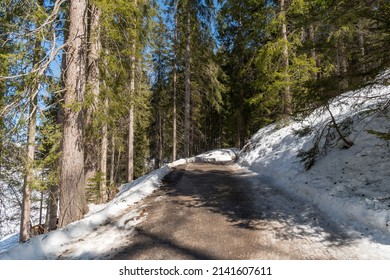 Davos, Switzerland, March 23, 2022 Small walk way through a forest in the winter time