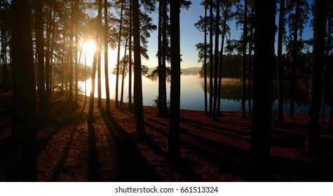 Dawn