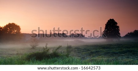 dawn