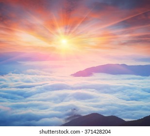 At dawn, after a warm rain ridges Chornogory haze enveloped with rays of sunshine. Sea fog in the pink light is very beautiful and fabulous, picturesque vague wave rolled on the slopes of the peaks