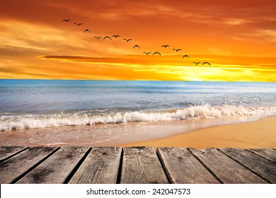 dawn beach - Powered by Shutterstock