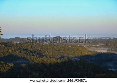 Dawn in the forest of Serra do Divisor National Park in the state of Acre
