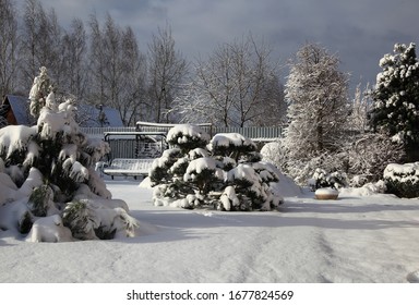 Dawn In The Home Garden.
Selective Focus Of Snowflake On Tree During Winter, Shallow Depth Of Field. White Snow On A Empty Winter Rural Road.
Spring In The Moscow Region. 2020 March 15.
