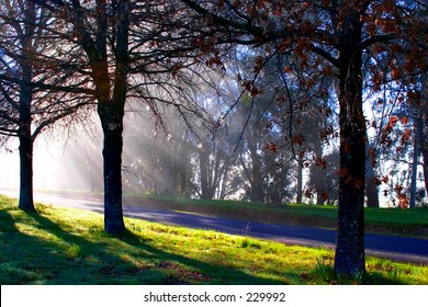 Dawn mist