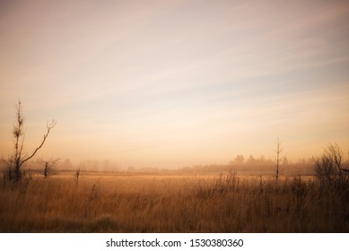 Dawn, morning in the field. Soft focus, slightly blurred. autumn landscape. Cloudy sky painted by early sunshine. Dry grass and trees without foliage in the fall. - Powered by Shutterstock