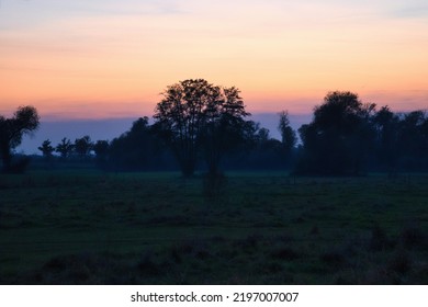 At Dawn, Mystical Sunrise With A Tree On The Meadow In The Mist. Warm Colors From Nature. Landscape Photography In Brandenburg