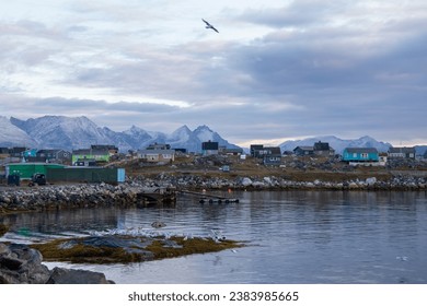 Dawn at Nanortalik Greenland seagulls in harbour and coloured wooden houses on the quayside as snow capped mountains tower behind small arctic town - Powered by Shutterstock