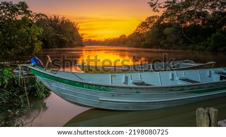 dawn on the aquidauana river, boats tied to tree branches