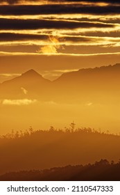 Dawn On Bruny Island, Tasmania
