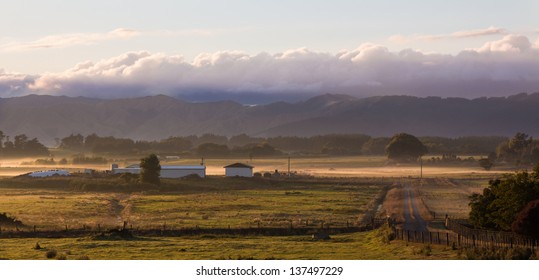 Dawn On A Dairy Farm In New Zealand.