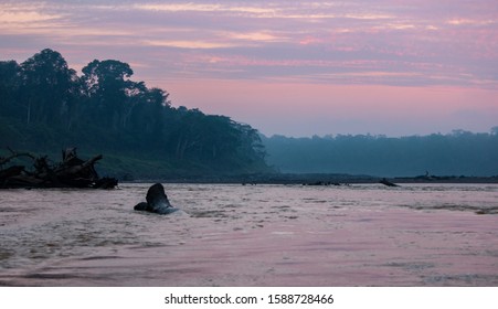 Dawn On The Madre De Dios River Of Peru