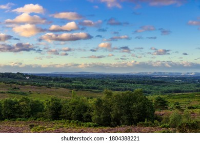 Dawn over Ashdown Forest from Stone Hill in East Sussex south east England with the South Downs on the horizon - Shutterstock ID 1804388221