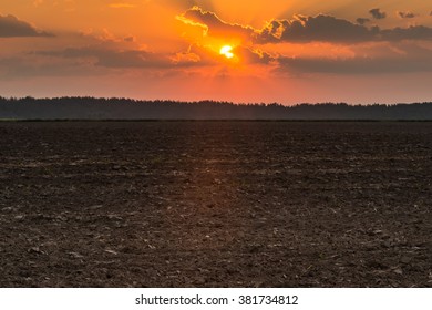 Dawn In A Plowed Field