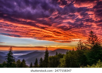 Dawn of a summer day along the Highland Scenic Highway a National Scenic Byway, Williams River Valley Overlook, Black Mountain , Monongahela National Forest, West Virginia, USA - Powered by Shutterstock