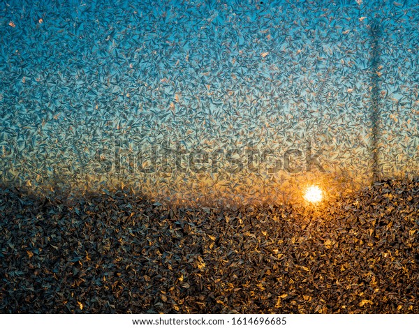 Dawn in village\
through beautiful festive frosty ice pattern with white snowflakes\
on background of car set