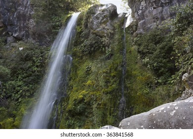 Dawson Falls Waterfall In Egmont National Park