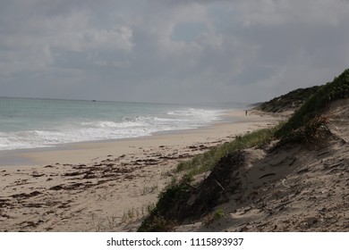 A Day At The Beach