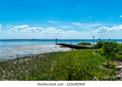 A Day At Cypress Point Park In Tampa Florida.