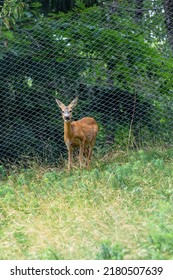 A Day To Discover Garfagnana