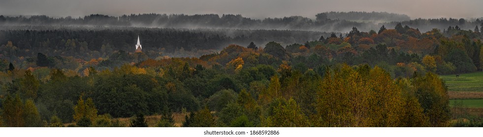 Day in the fog, in a beautiful forest - Shutterstock ID 1868592886