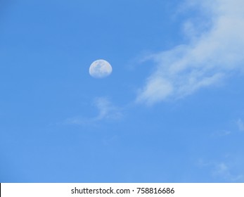 Day Moon Brazil