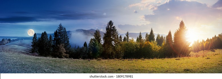 day and night time change concept of foggy autumn panorama. spruce trees on the meadow beneath a sun and moon. mountain behind the mist. cloud inversion natural phenomenon observed from the side