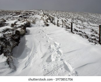 Winter’s Day On A Walk Up The Cheviot In Northumberland, England