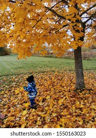 day out in the fall