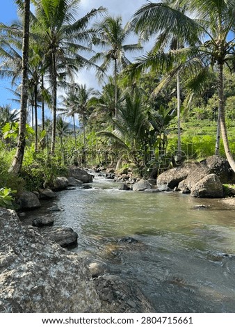 Day in a river in wonosobo central java
