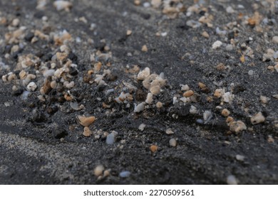 A day in the seashore, with sand and cravel running together on the sand stretching out towards distant sea. Selective focus blurs the far away scenery. - Powered by Shutterstock