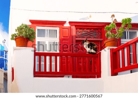 Day view of a cat sitting on a bright red balcony in Mykonos, Greece, with whitewashed walls, colorful doors and potted plants in traditional Cycladic style.