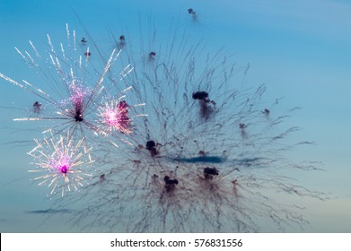 Daylight Fireworks