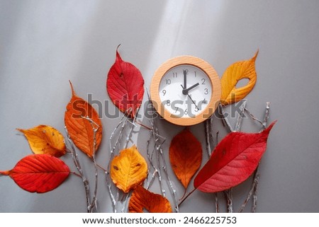 Daylight Saving Time concept background. Fall Back decoration colorful leaves and clock composition on gray background.
