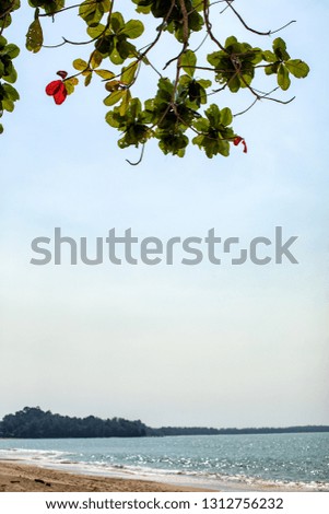 Similar – Foto Bild sommer vorm balkon Natur