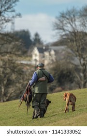 Days Pheasant Shooting In Scotland