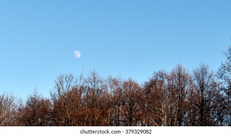 daytime moon