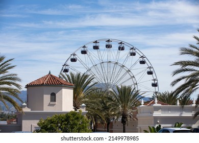 Daytime Palm Framed View Of The Orange County Downtown Skyline Of Irvine, California, USA.