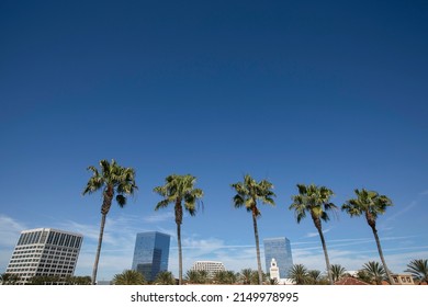 Daytime Palm Framed View Of The Orange County Downtown Skyline Of Irvine, California, USA.