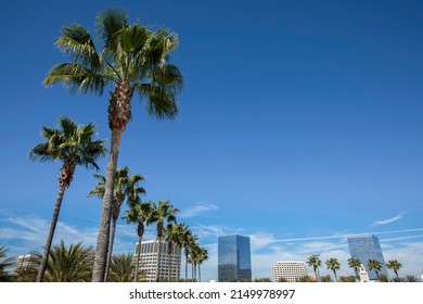 Daytime Palm Framed View Of The Orange County Downtown Skyline Of Irvine, California, USA.